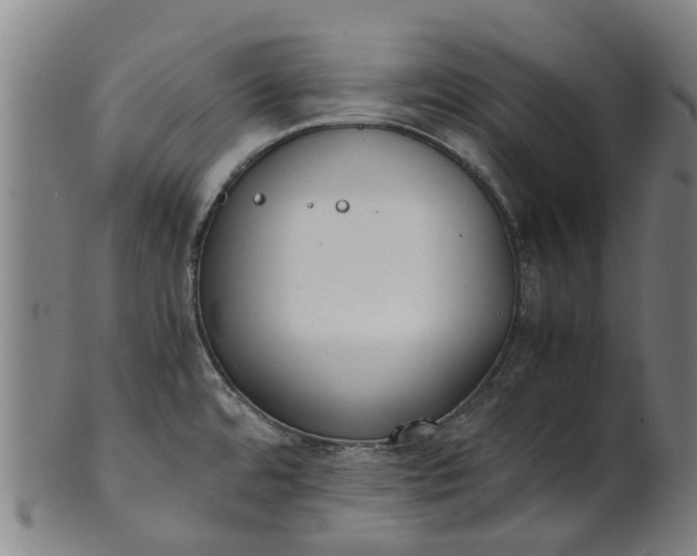 X0000101661480200807241406