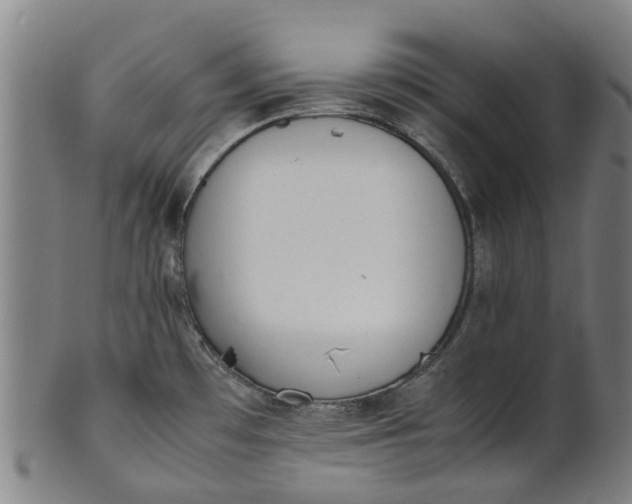 X0000101661481200807241406