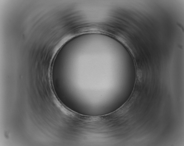 X0000101661482200807241406