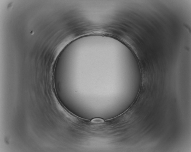 X0000101661483200807241406