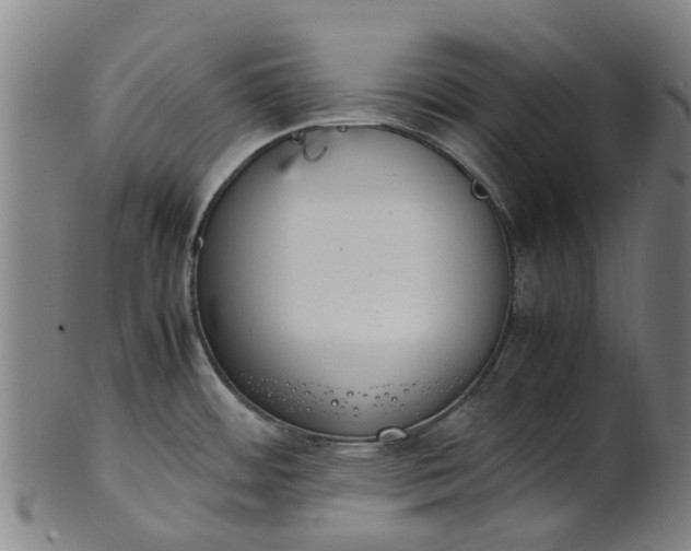 X0000101661484200807241406