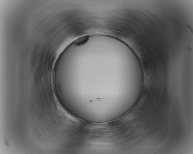 X0000101661486200807241406