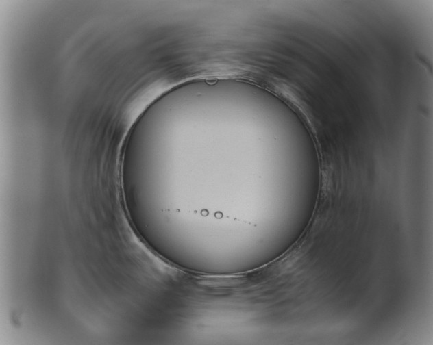 X0000101661487200807241406