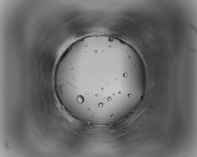 X0000101661488200807241406