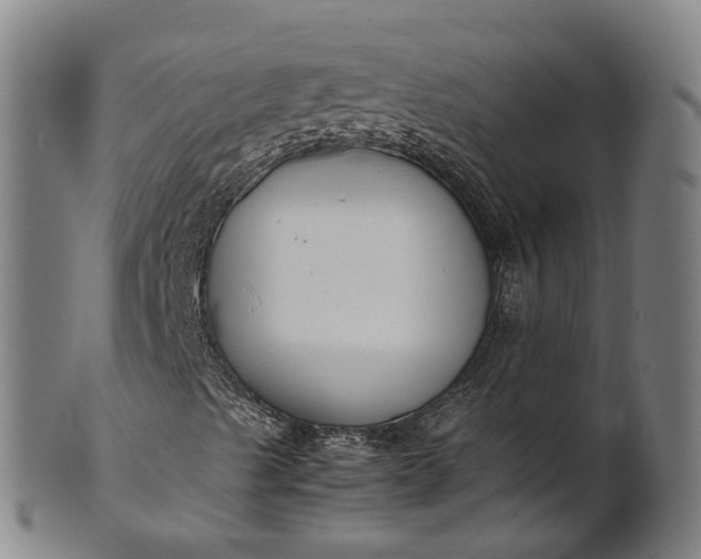 X0000101661489200807241406