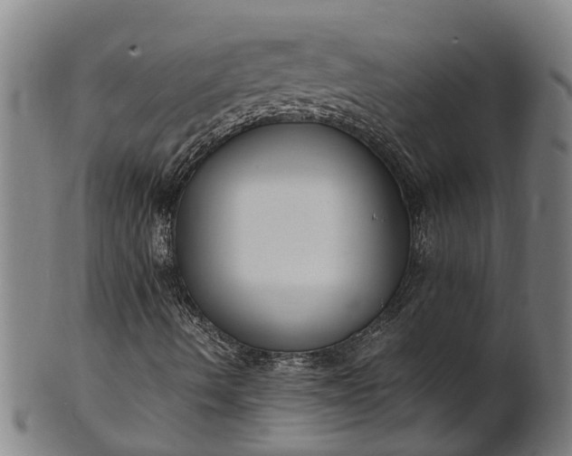 X0000101661490200807241406