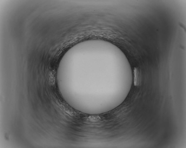 X0000101661491200807241406