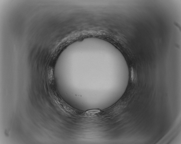 X0000101661492200807241406