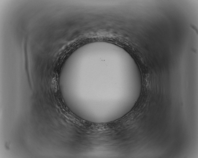 X0000101661493200807241406