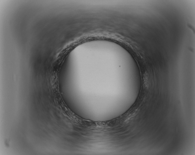 X0000101661494200807241406