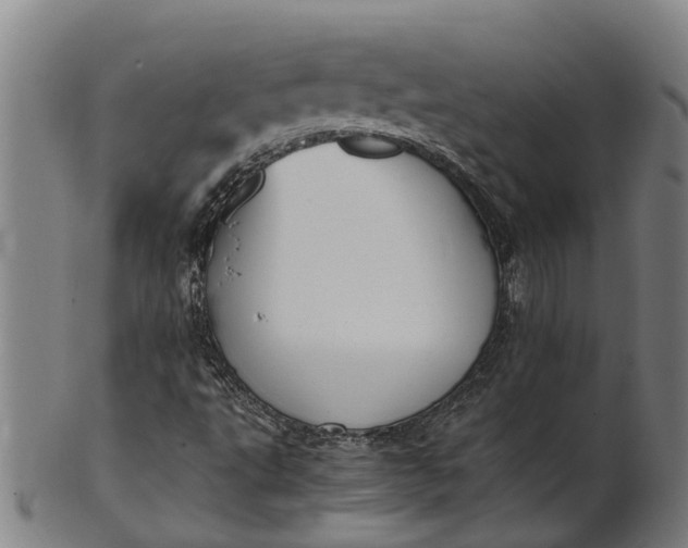 X0000101661495200807241406