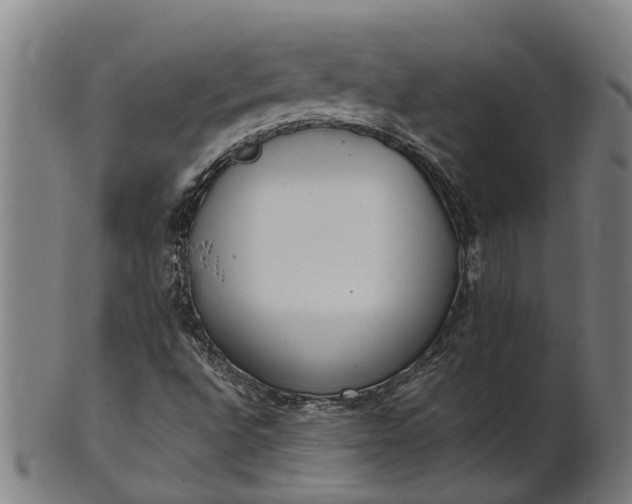 X0000101661496200807241406