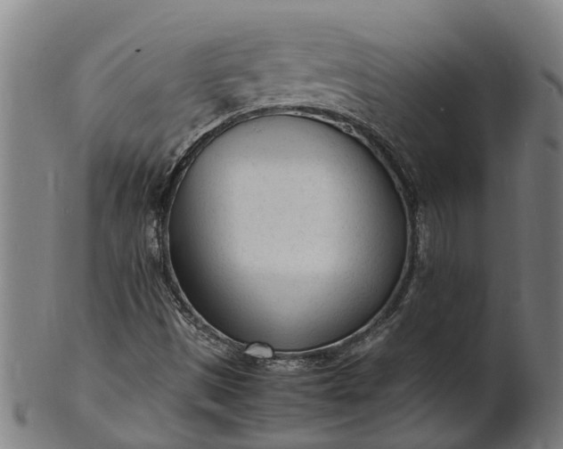 X0000101661497200807241406