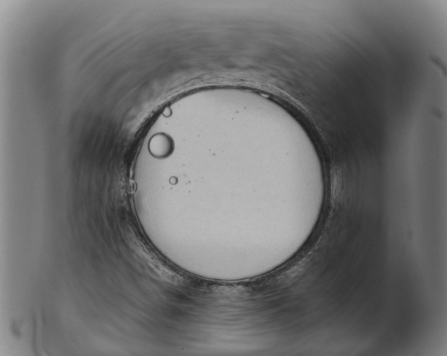 X0000101661498200807241406