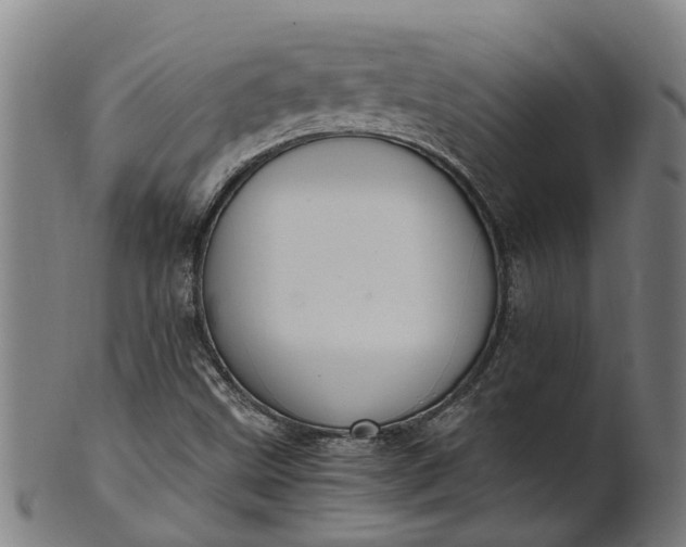 X0000101661499200807241406