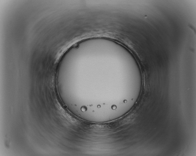 X0000101661500200807241406