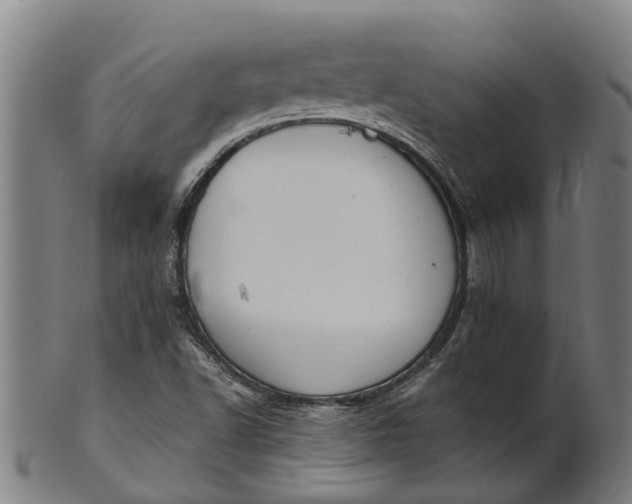 X0000101661502200807241406