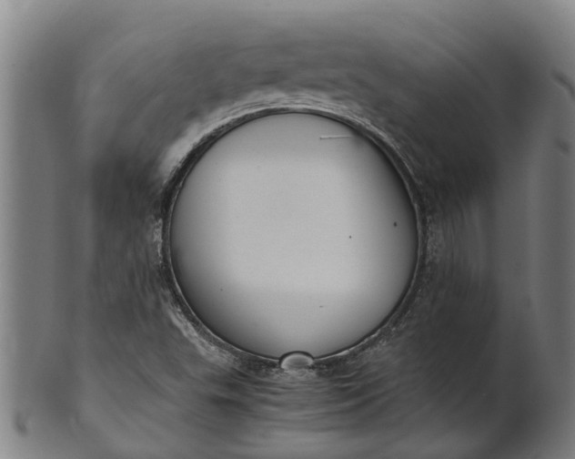 X0000101661503200807241406