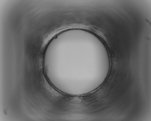 X0000101661504200807241406