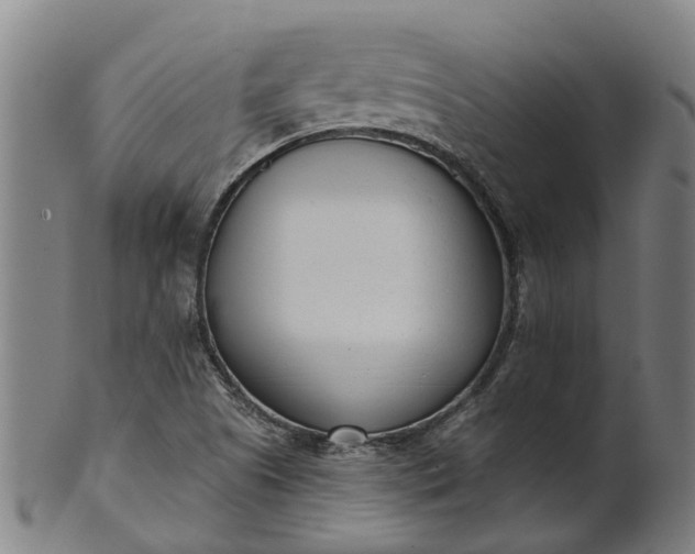 X0000101661505200807241406