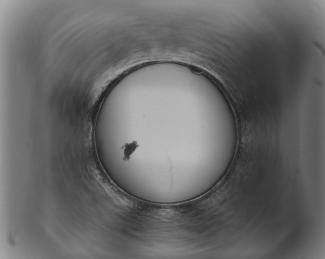 X0000101661507200807241406