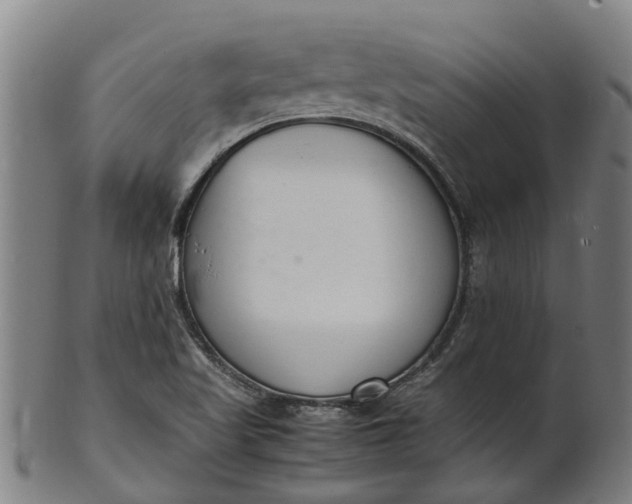 X0000101661509200807241406