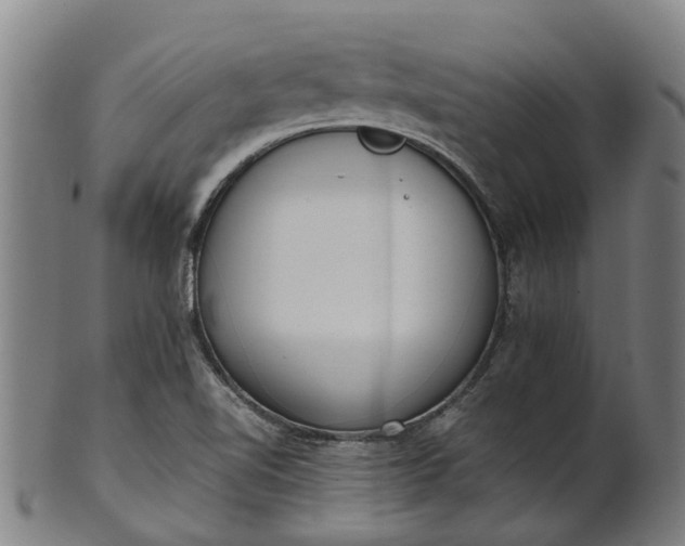 X0000101661510200807241406