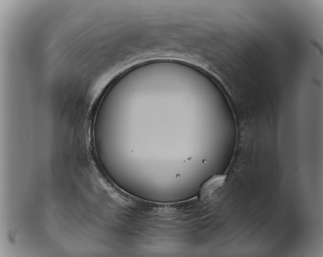 X0000101661511200807241406