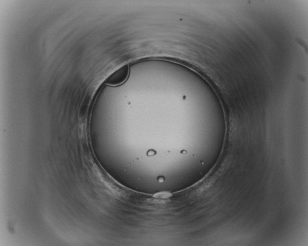 X0000101661513200807241406