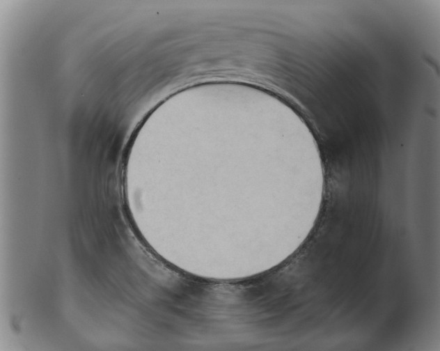 X0000101661514200807241406