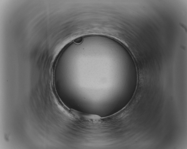 X0000101661515200807241406