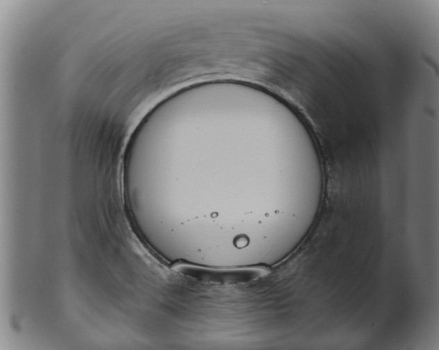 X0000101661516200807241406