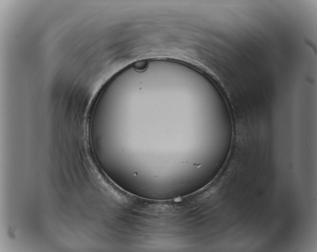 X0000101661517200807241406