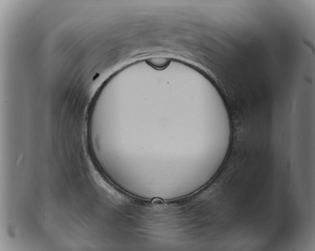 X0000101661518200807241406