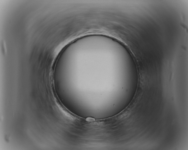 X0000101661519200807241406