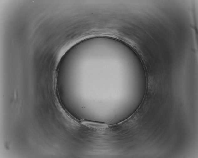 X0000101661520200807241406