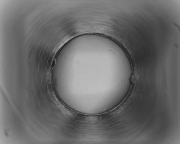 X0000101661521200807241406