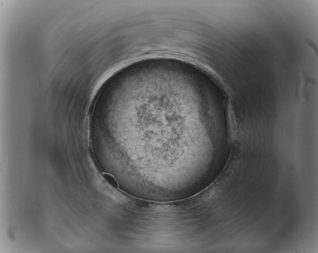 X0000101661522200807241406