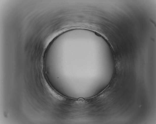 X0000101661523200807241406