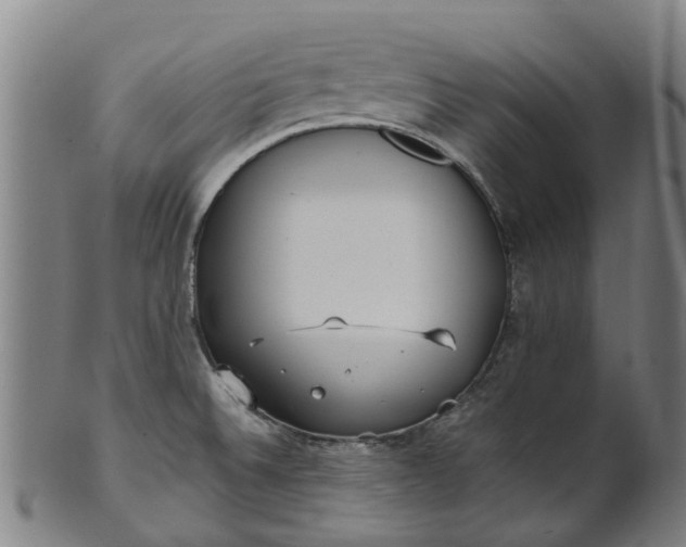 X0000101661524200807241406