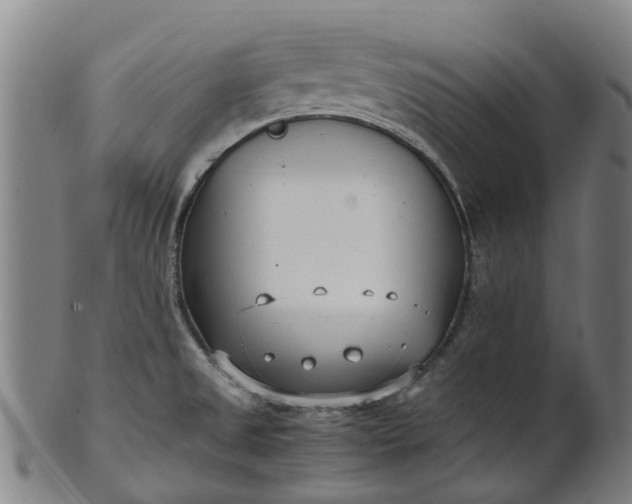 X0000101661525200807241406