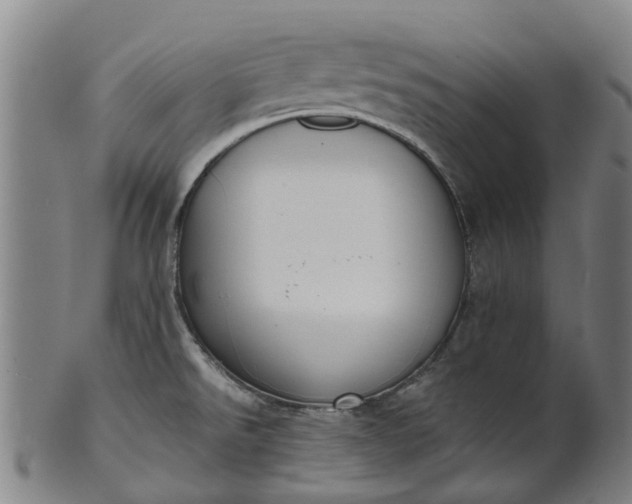 X0000101661526200807241406