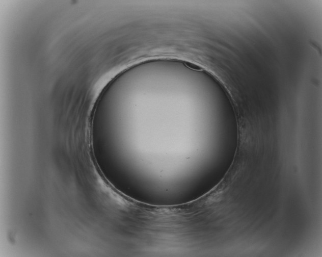 X0000101661527200807241406