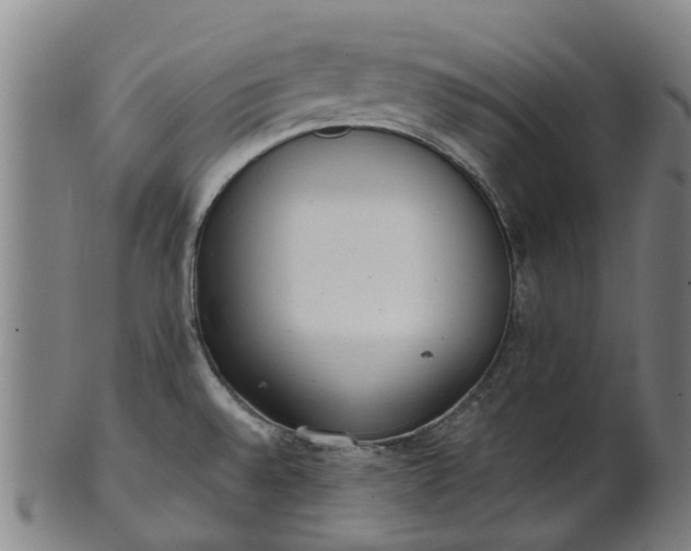 X0000101661528200807241406