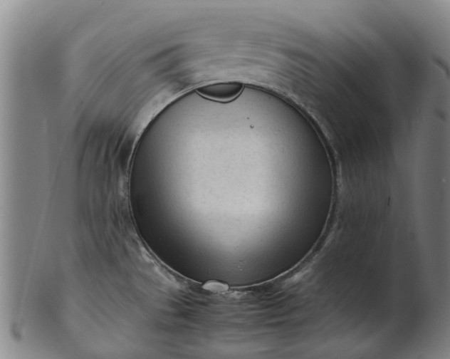 X0000101661529200807241406