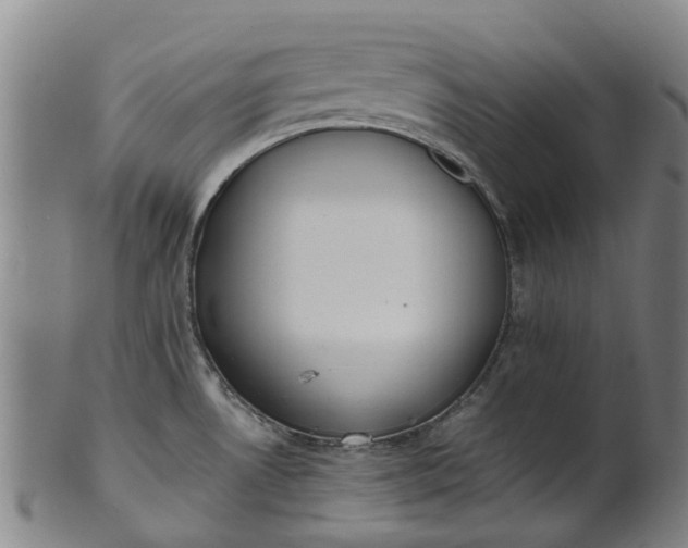 X0000101661530200807241406