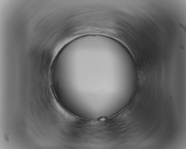 X0000101661531200807241406