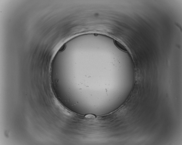 X0000101661532200807241406