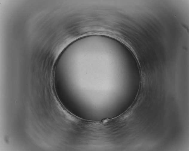 X0000101661533200807241406