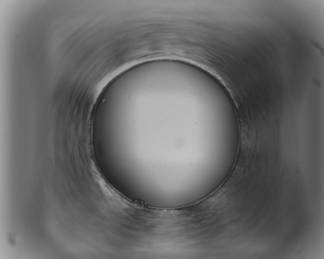 X0000101661534200807241406